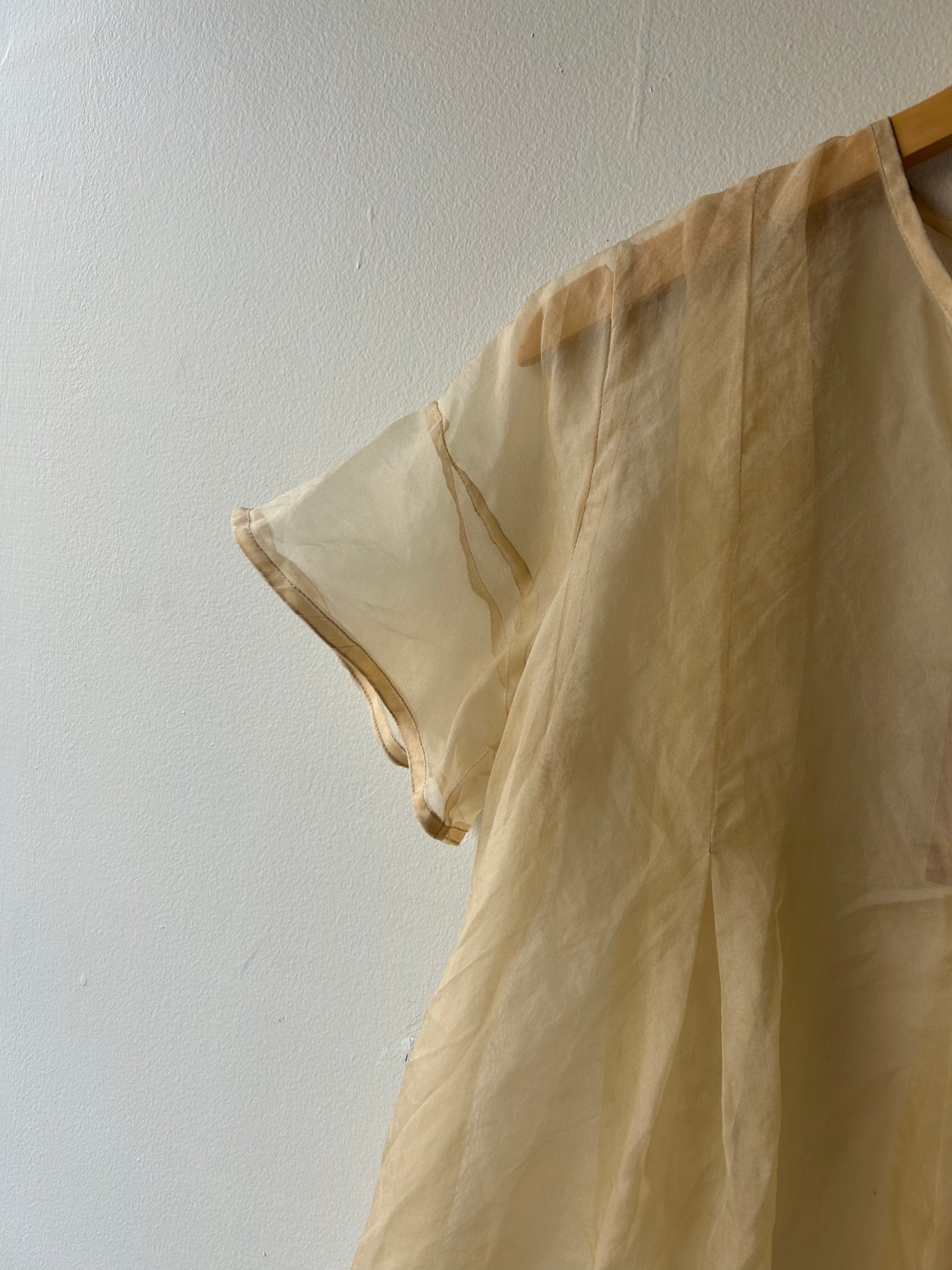 Dolls Organza Blouse in Light Taupe