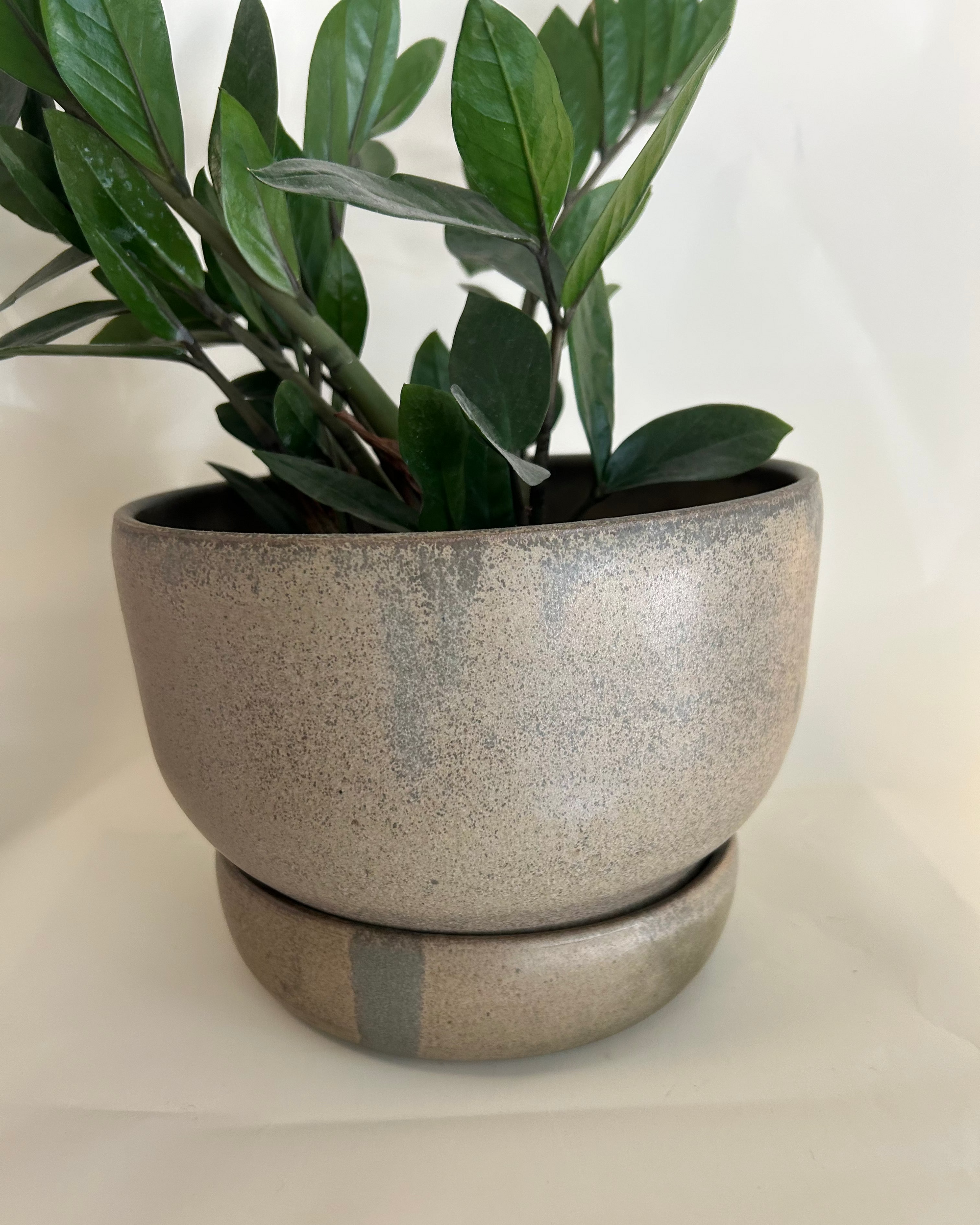 10” Sage Planter & Saucer